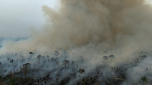 Inc&ecirc;ndios na Amaz&ocirc;nia ca&iacute;ram a m&iacute;nimo hist&oacute;rico em 2025