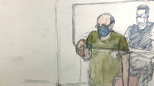 Affaire Le Tan: dans ses derniers mots, Reiser r&eacute;p&egrave;te n'avoir rien pr&eacute;m&eacute;dit&eacute;
