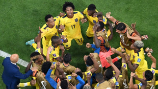 Qatar first World Cup hosts to lose opener with Ecuador defeat
