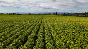 Carabinieri-Philp Morris, nuovo accordo per sicurezza e legalit&agrave;