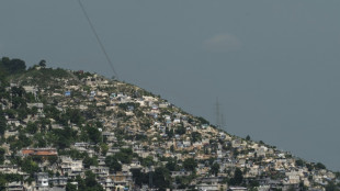 Primeiro contingente de policiais quenianos chega ao Haiti para miss&atilde;o de seguran&ccedil;a