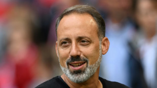 VfB Stuttgart fire American manager Matarazzo