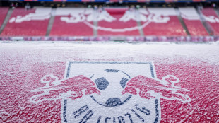 Rassistische &Auml;u&szlig;erungen: Leipzig suspendiert U19-Spieler