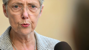 Gaz &agrave; effet de serre : Elisabeth Borne pr&eacute;sente son "plan d'action"