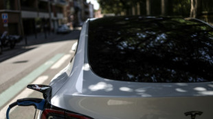 Studie: Gr&ouml;&szlig;tes CO2-Einsparpotenzial f&uuml;r Verbraucher durch Umstieg auf E-Auto