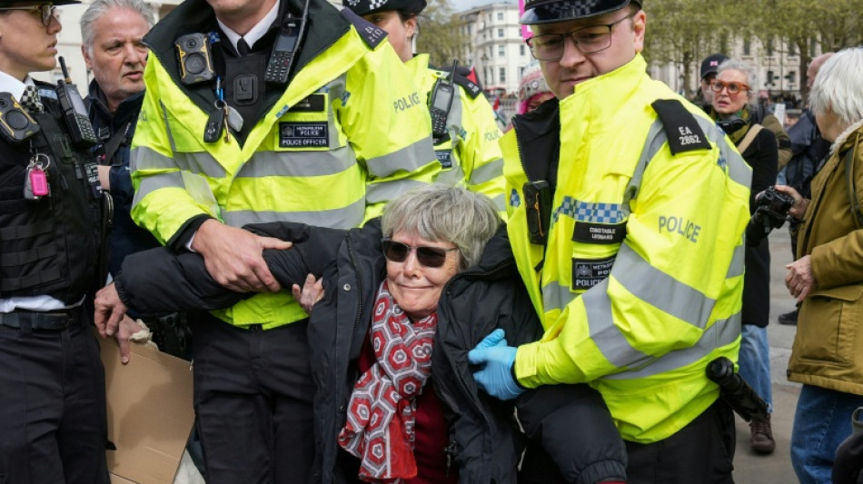Plus de 500 manifestants soutenant le groupe Palestine Action arr&ecirc;t&eacute;s &agrave; Londres 