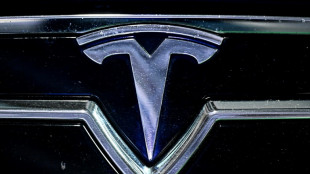 Tesla: les ventes en Europe divis&eacute;es par deux en avril, les constructeurs chinois progressent