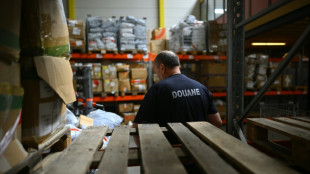 Les eurod&eacute;put&eacute;s autorisent les frais de traitement sur les petits colis