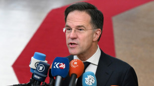 US, UK, Germany back Dutch PM Mark Rutte as next NATO chief