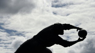 Rugby players face highly increased MND risk: disease study

