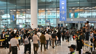 Surcoreanos detenidos en una redada migratoria en EEUU, recibidos con aplausos en su país