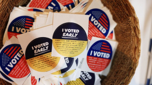 47,9 Millionen W&auml;hler: Neuer Rekord bei vorzeitiger Stimmabgabe f&uuml;r Midterms