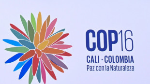 'Paz com a natureza': uma COP16 sob amea&ccedil;a guerrilheira na Col&ocirc;mbia