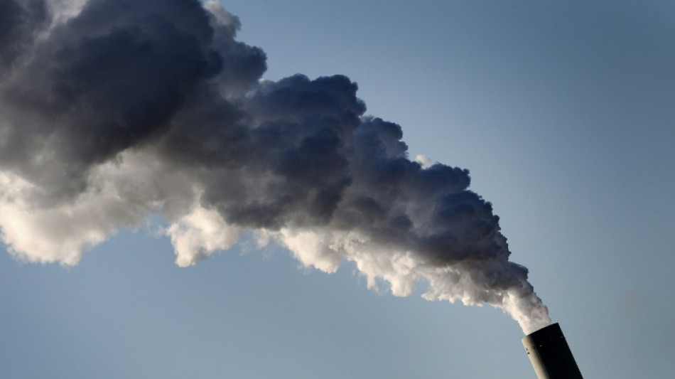 Climat: un avenir vivable possible si le monde agit imm&eacute;diatement