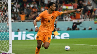 Netherlands strike late to beat Senegal on World Cup return