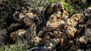 Abatido un palestino tras disparar a soldados israel&iacute;es