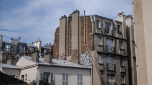 Climatisation, volets, arbres: les canicules &agrave; r&eacute;p&eacute;tition s'invitent dans la recherche de logement