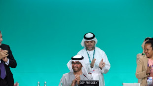 La COP28 pide al mundo que haga una "transici&oacute;n" para abandonar los combustibles f&oacute;siles
