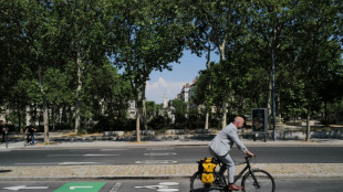 Vélo de fonction: la filière veut séduire les employeurs