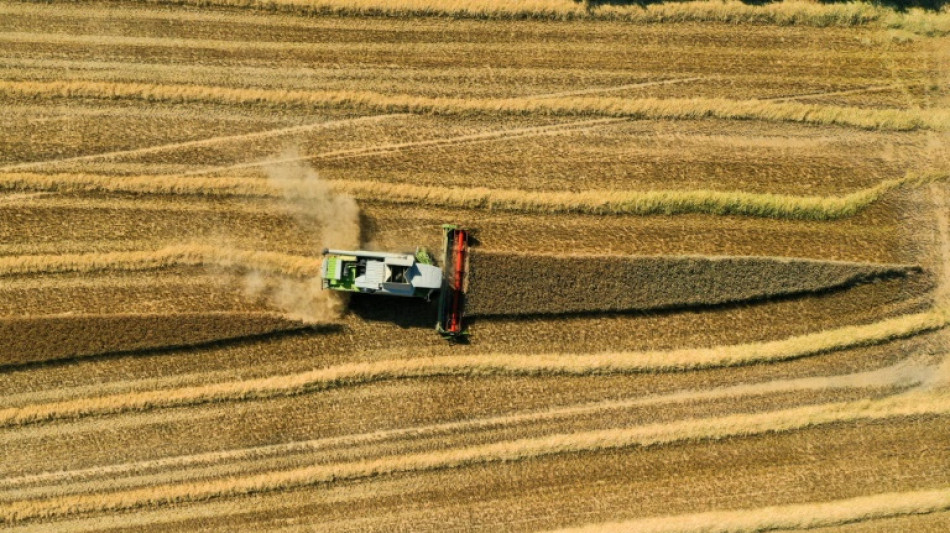 WWF kritisiert EU-F&ouml;rderungen f&uuml;r "natursch&auml;dliche Aktivit&auml;ten"