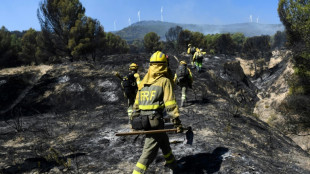 L'odeur des for&ecirc;ts br&ucirc;l&eacute;es au Portugal parvient &agrave; Madrid