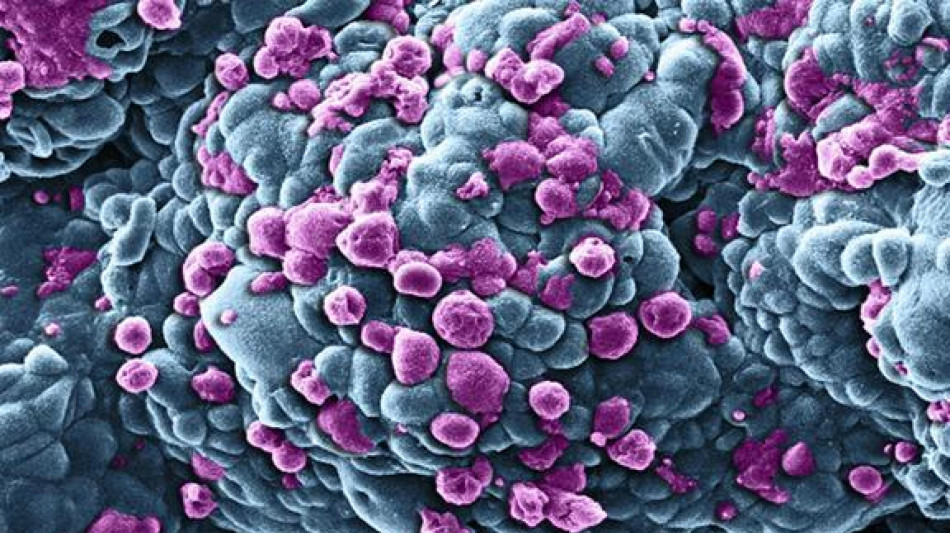 Tumori, nuovo paradigma di cure con l'immunoterapia neoadiuvante