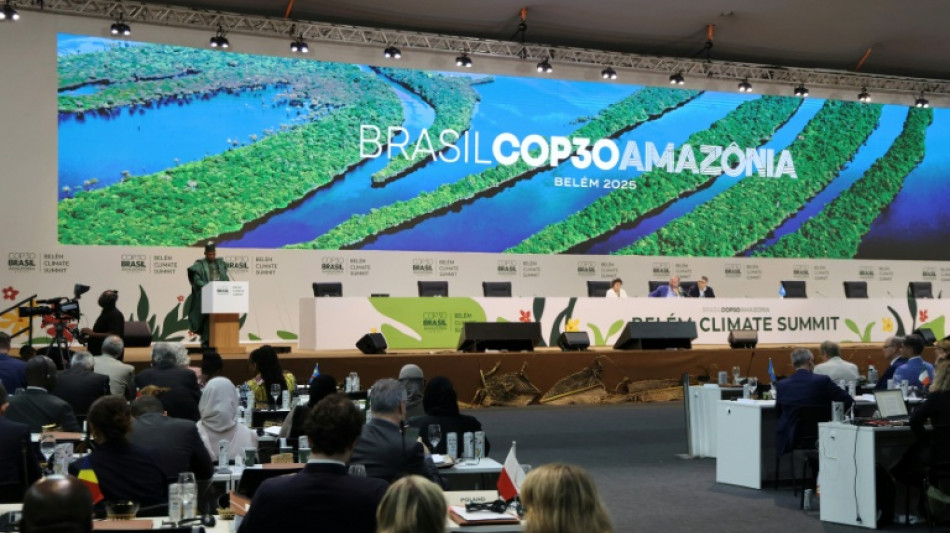 Países promueven impuestos a los vuelos de lujo durante la COP30