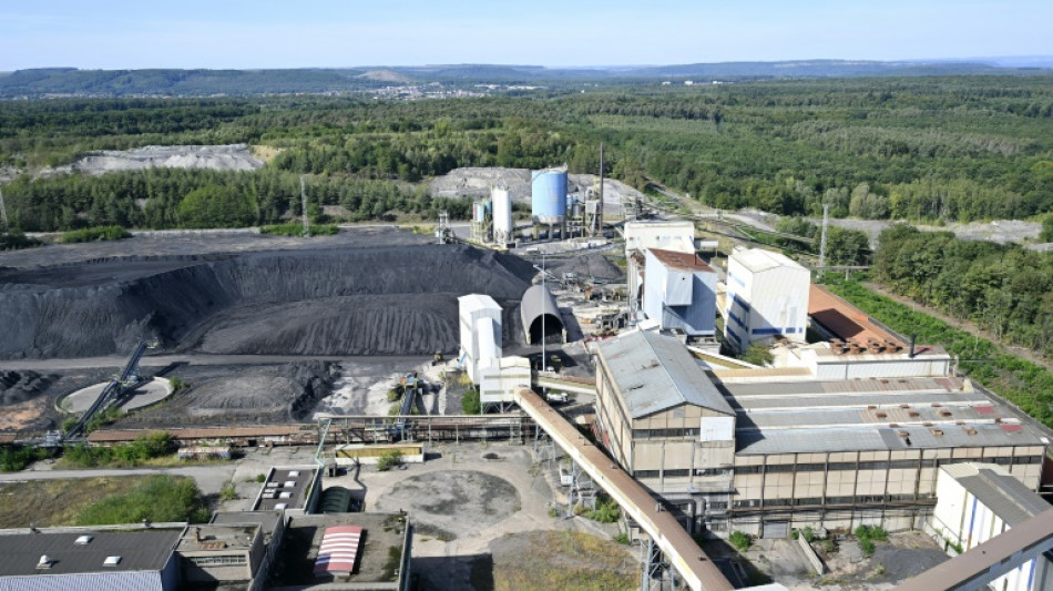 Saint-Avold: l'Assembl&eacute;e approuve d&eacute;finitivement la conversion de la centrale