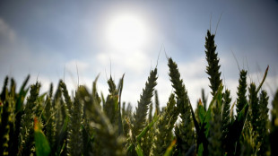 Climat: la France est devant "un mur d'investissements" pour l'adaptation (ministre de la Transition &eacute;cologique)