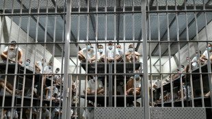 L&iacute;deres de gangue afirmam que ajudaram Bukele a chegar ao poder em El Salvador