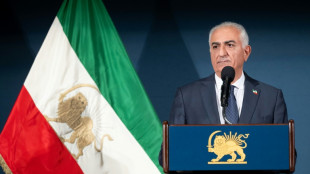 Pour le fils du chah, le pouvoir iranien finira par "tomber"