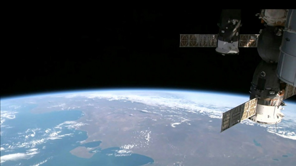 Embriones de rat&oacute;n crecen en el espacio por primera vez, seg&uacute;n estudio japon&eacute;s