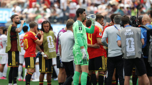 Mondiali: il 'cooling break' della discordia, allo stadio il Dj contro i fischi