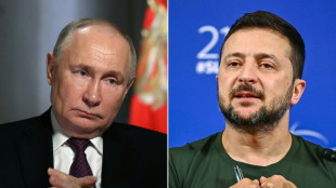 Selenskyj: Gespr&auml;che mit Russland &uuml;ber direktes Treffen mit Putin