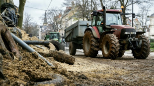 Z&ouml;lle: Europ&auml;ische Bauern fordern Gespr&auml;che und warnen vor Handelskrieg