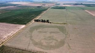 Foot: un champ de ma&iuml;s "tatou&eacute;" du visage de Lionel Messi