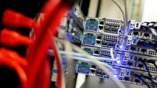 "Spiegel": Im "White Tiger"-Komplex mindestens sechs Todesfälle 