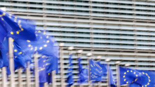 Ue, 'sui fondi Safe l'Italia chiarisca, non c'&egrave; tempo da perdere