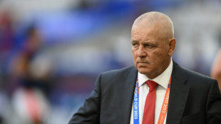Gatland says Wales must learn from Ireland rugby set-up