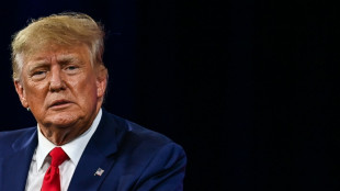 Trump weist Vorwurf der "kriminellen Verschw&ouml;rung" zur&uuml;ck