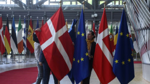 Europ&auml;ischer Gerichtshof befasst sich mit Verlust von d&auml;nischer Nationalit&auml;t