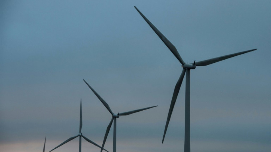 El a&ntilde;o 2021 fue decepcionante para las energ&iacute;as renovables