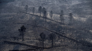Winds complicate wildfire battle in Spain
