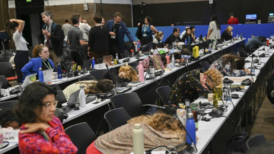 UN-Artenschutzkonferenz endet ohne Einigung zu Finanzierungsfragen&nbsp; 