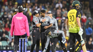 Opening shocker to Warner woe: how Australia's World Cup defence crumbled