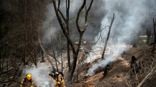 Climate change not to blame for deadly Chile fires: researchers