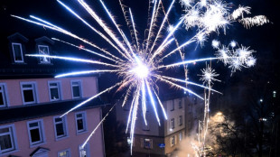 19-J&auml;hriger hortet in Hamburg rund hundert Kilogramm Pyrotechnik