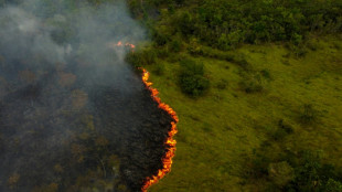 Colombia fue el pa&iacute;s con m&aacute;s ambientalistas asesinados en 2022