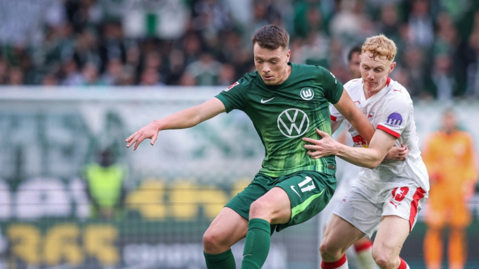 Stuttgart holt St&uuml;rmer Pejcinovic aus Wolfsburg