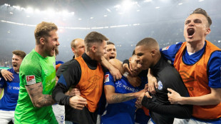 Aufstiegsparty: Schalke zur&uuml;ck in der Bundesliga